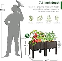 Vista 3 de Cama de jardín elevada con patas, maceta elevada de plástico para plantas, flores, verduras y hierbas al aire libre