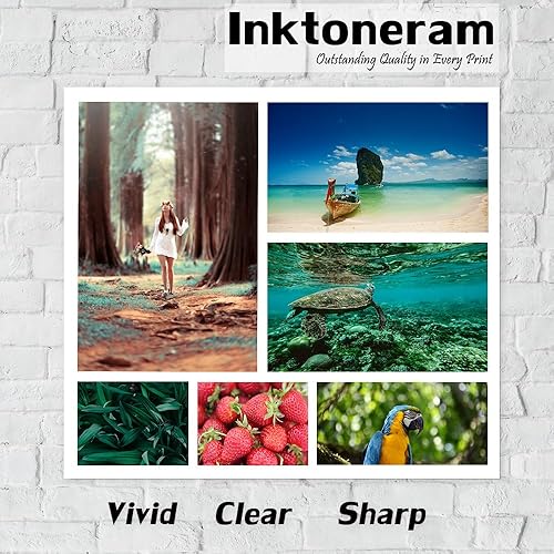 Miniatura 3 de C2660dn C2665dnf - Cartuchos de tóner compatibles de repuesto para Dell C2660dn / C2665dnf 593-BBBU 593-BBBT 593-BBBS 593-BBBR de alto rendimiento