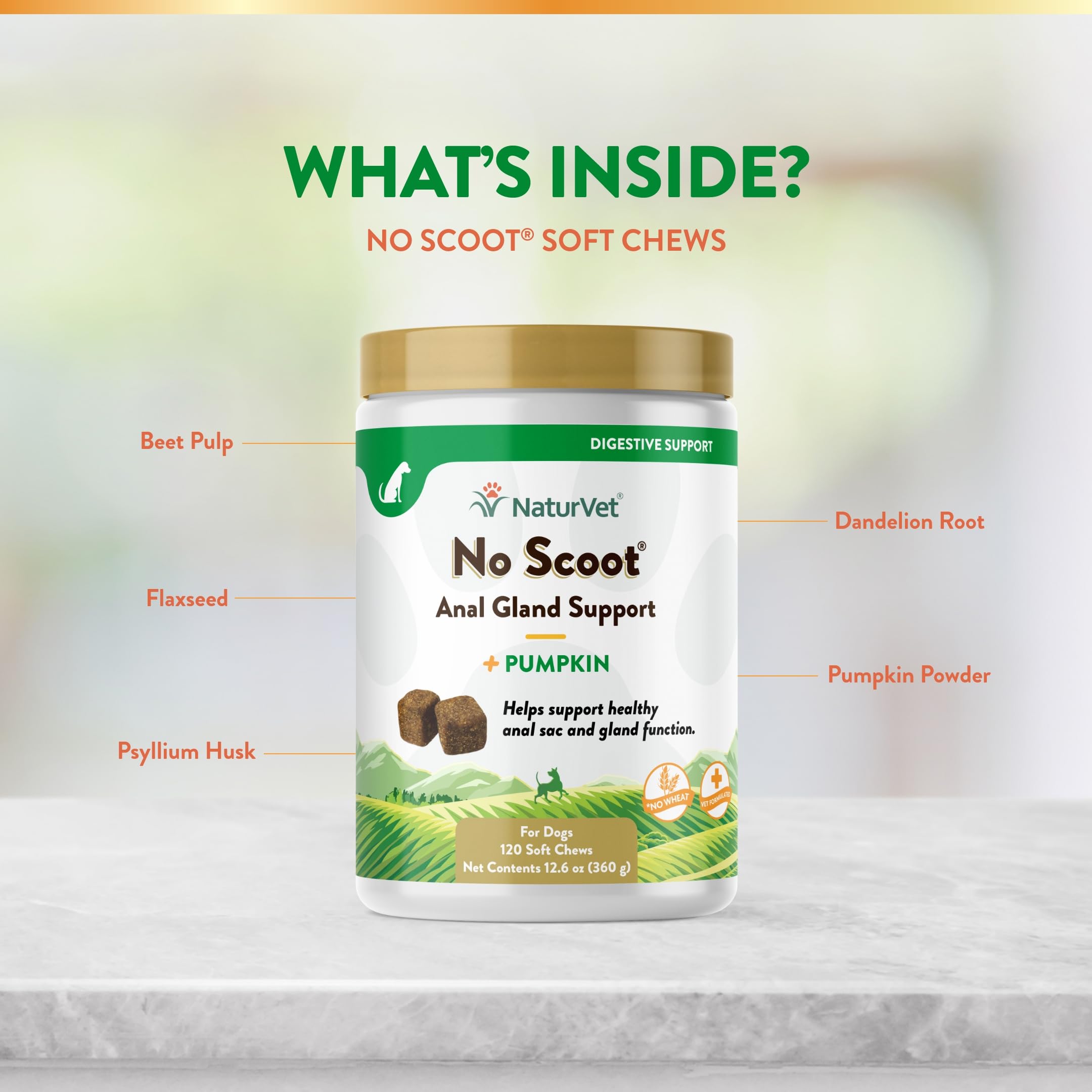NaturVet No Scoot Plus Pumpkin Soft Chew Support Healthy Bowels for Dogs 120 ct