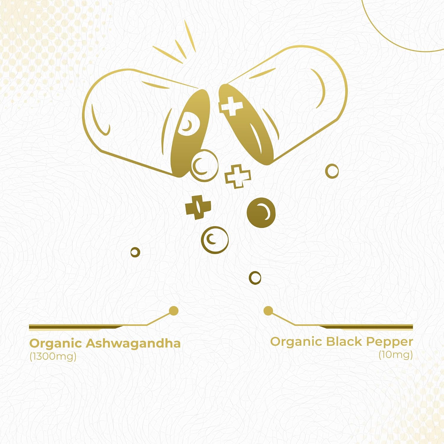 Foods For Gut Ashwagandha | 1300 mg Per Serving 120 Capsules | Organic | Free of Top Allergens | Immune Support | Stress Relief | Energy & Mood Support