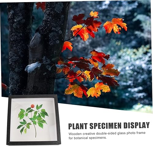 Miniatura 2 de IMIKEYA Elegante foto espécimen marco vidrio titular negro final para el café casero dic