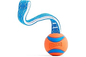 Chuckit Ultra Tug: The Fetch Toy for Energetic Dogs