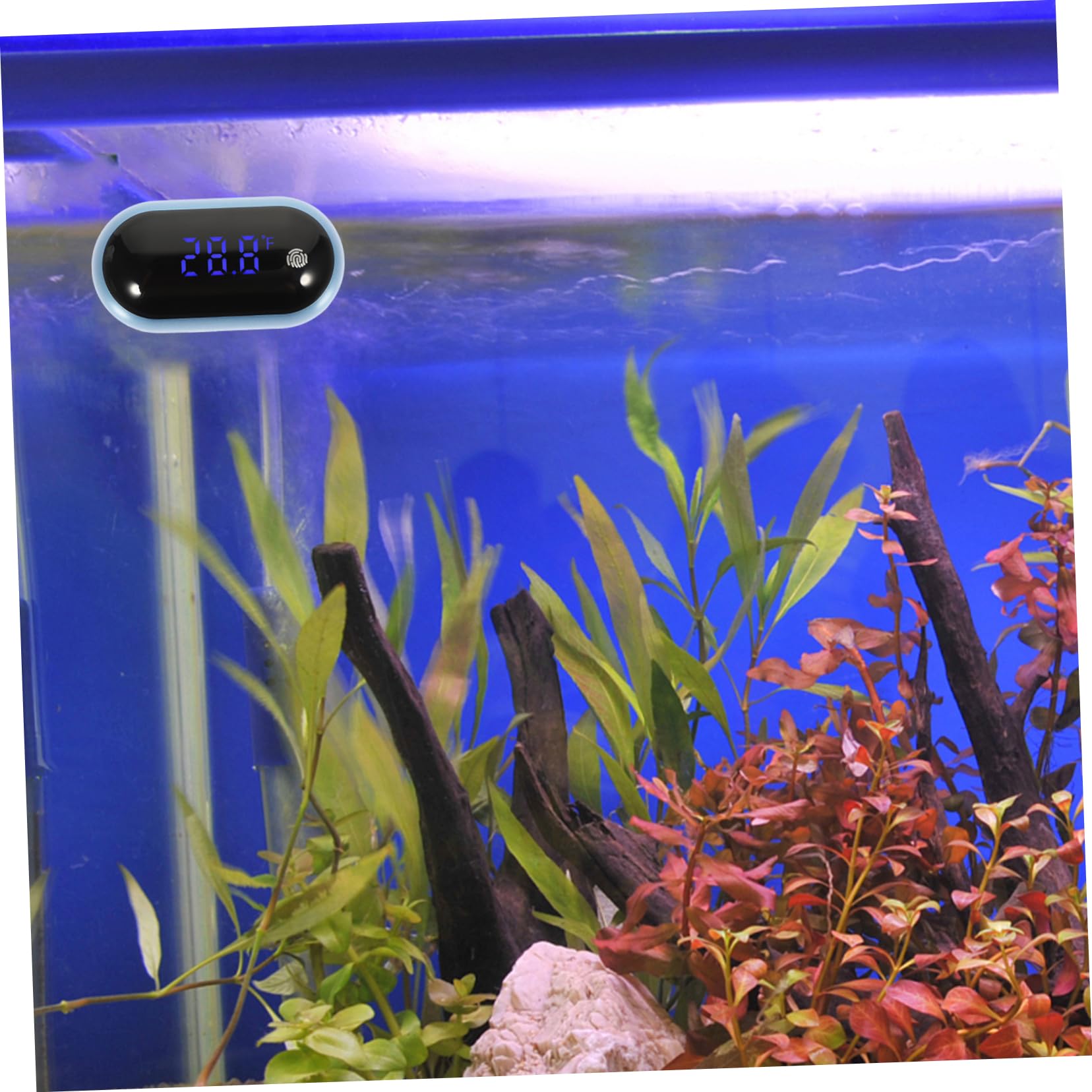 Toddmomy 3pezzi Termometro Per Acquari Misuratore Display Led Facile e Resistente Per Serbatoi e