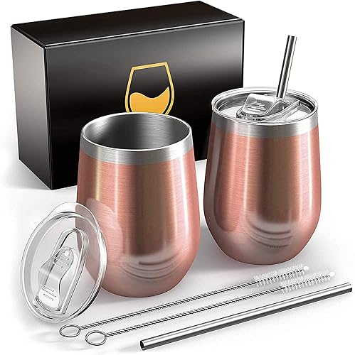 Stainless Steel Wine Tumbler With Lid and Straw, 2 Pack