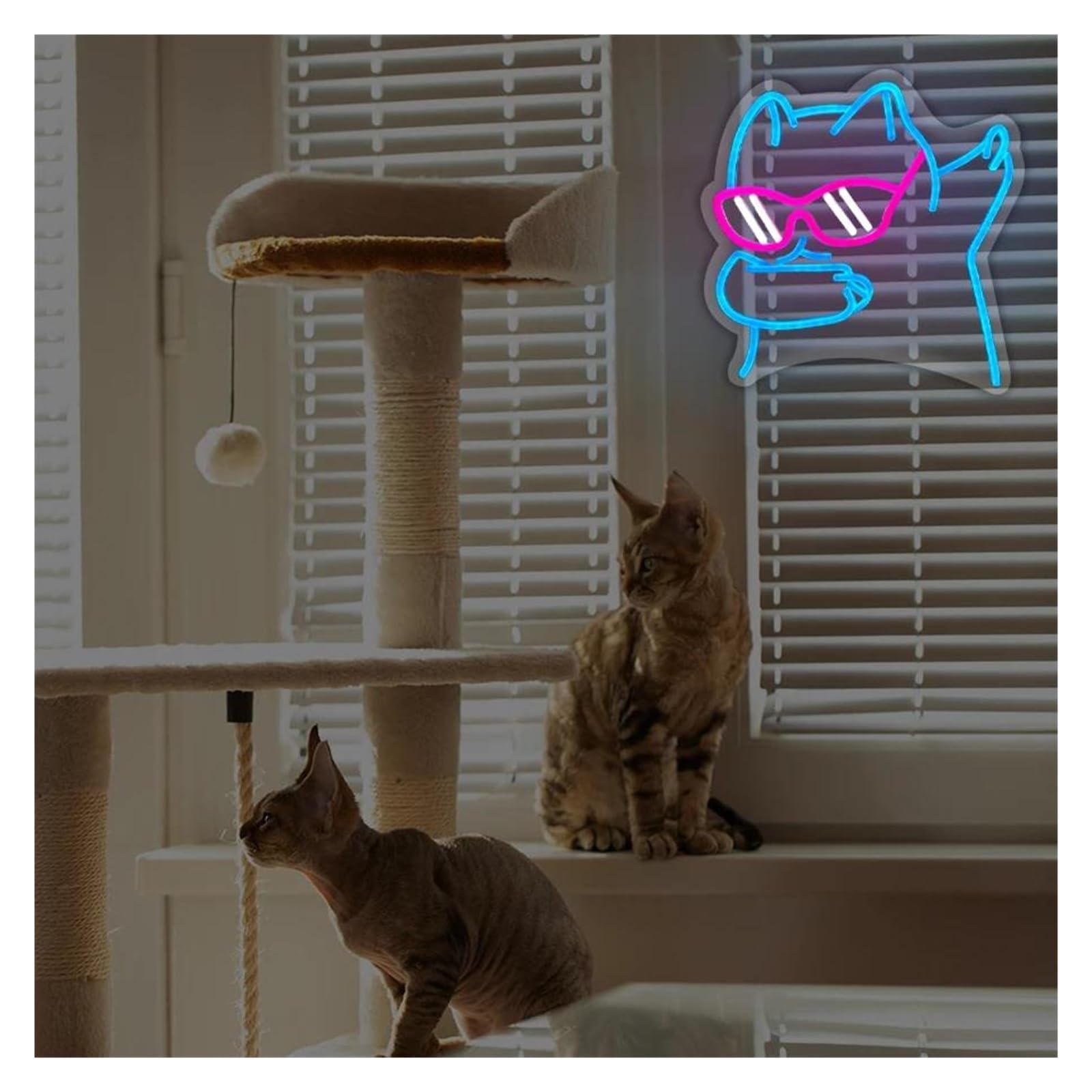 néon signe Enseigne Lumineuse À Intensité Variable Avec Lunettes De Chat Cool Pour Chambre À Coucher Salle De Jeux Bar Animalerie Décoration Murale 31cmx30.5cm