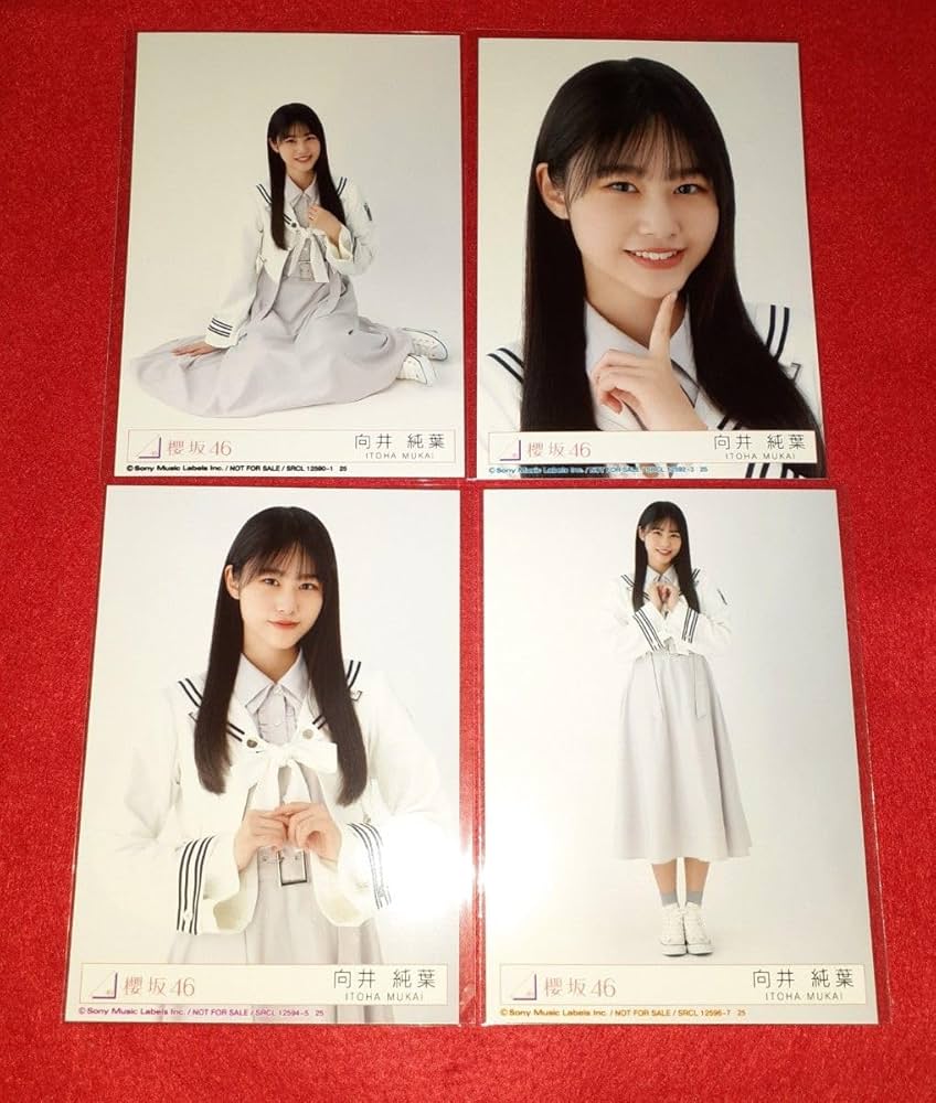 Amazon.co.jp: 向井純葉 櫻坂46 グッズ Start over! 生写真 コンプ Amazon.co.jp: 向井純葉 櫻坂46 グッズ Start over! 生写真 コンプ