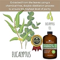 Vista 6 de Aceite esencial de eucalipto - Extra grande 4 onzas líquidas - 100% puro y natural – Aceite natural premium con gotero de vidrio