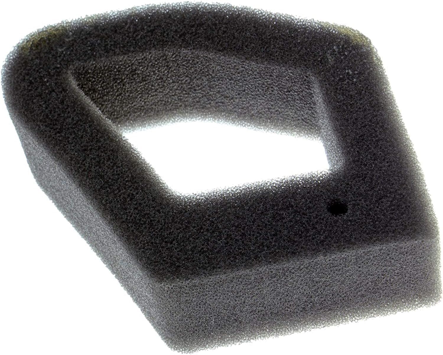 Amazon.com : Honda 17211-Z0Z-000 Element Air Cleaner : Power