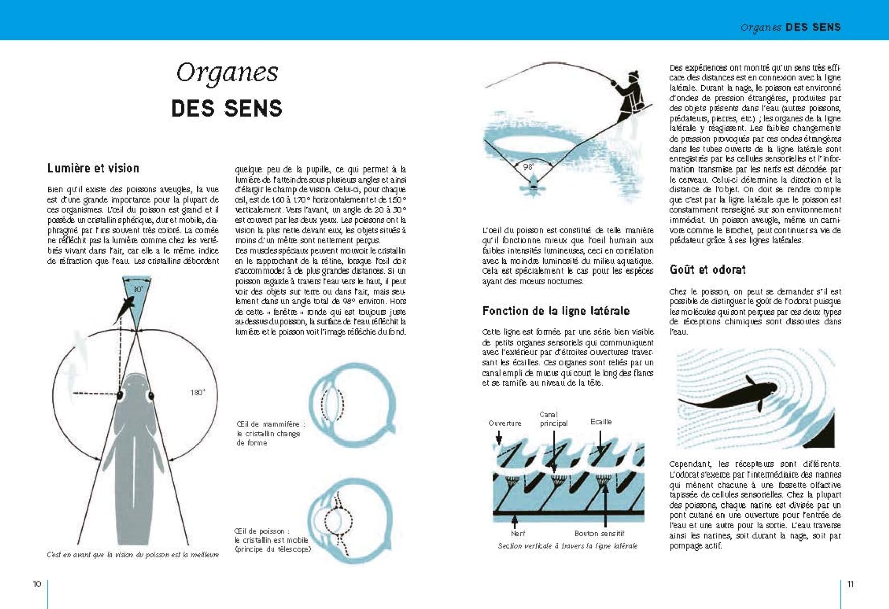 Poissons d'eau douce: d'Europe occidentale tempérée et de Scandinavie