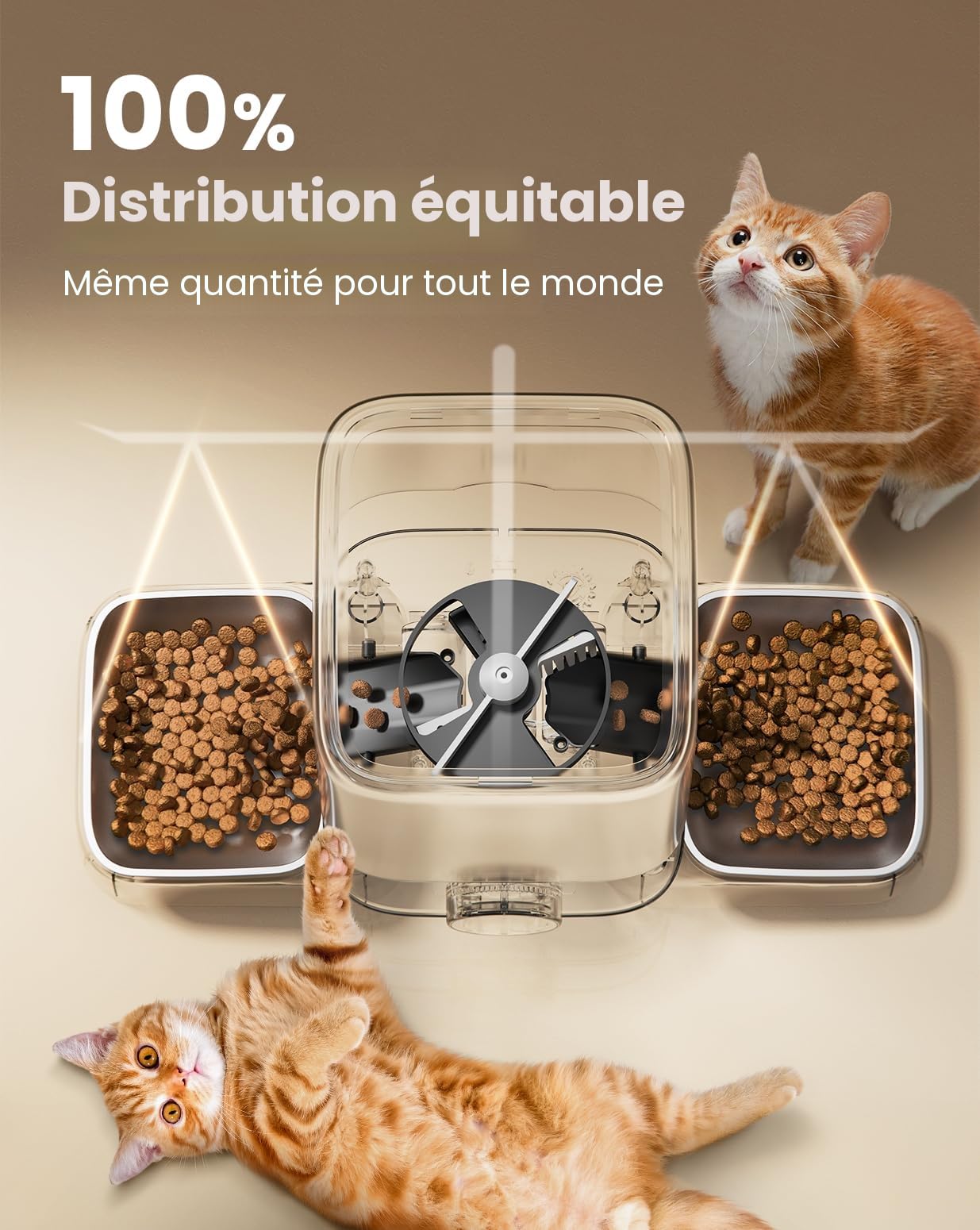 oneisall Distributeur Croquettes Automatique pour 2 Chats 5L, Distributeur Automatique de Nourriture pour Chats avec 2 Bols Distributeur Croquettes Chien en Acier Inoxydable 304, 1-6 Repas par Jour