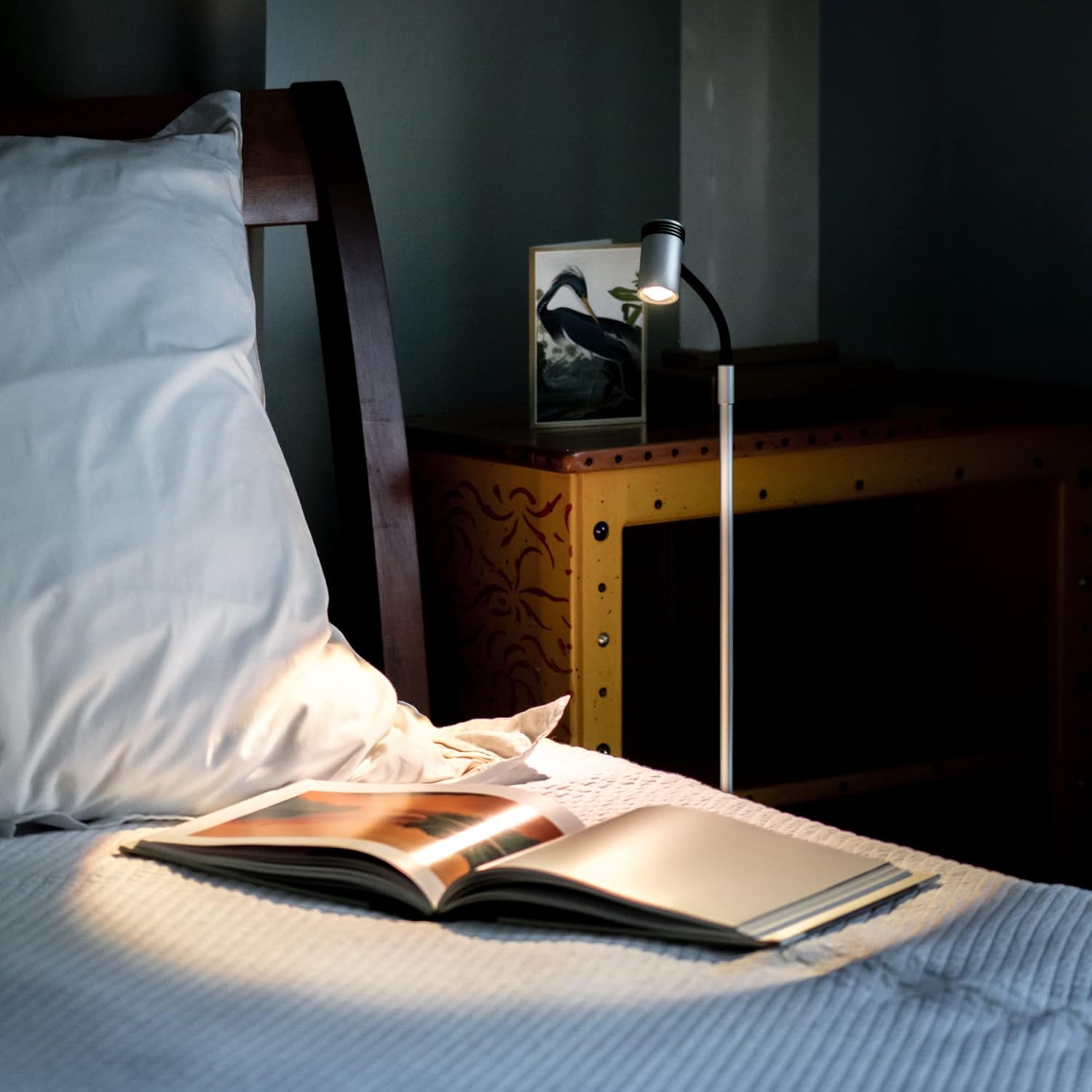 Cordless LED Light, for Reading, Crafting, Grilling, and Your Home