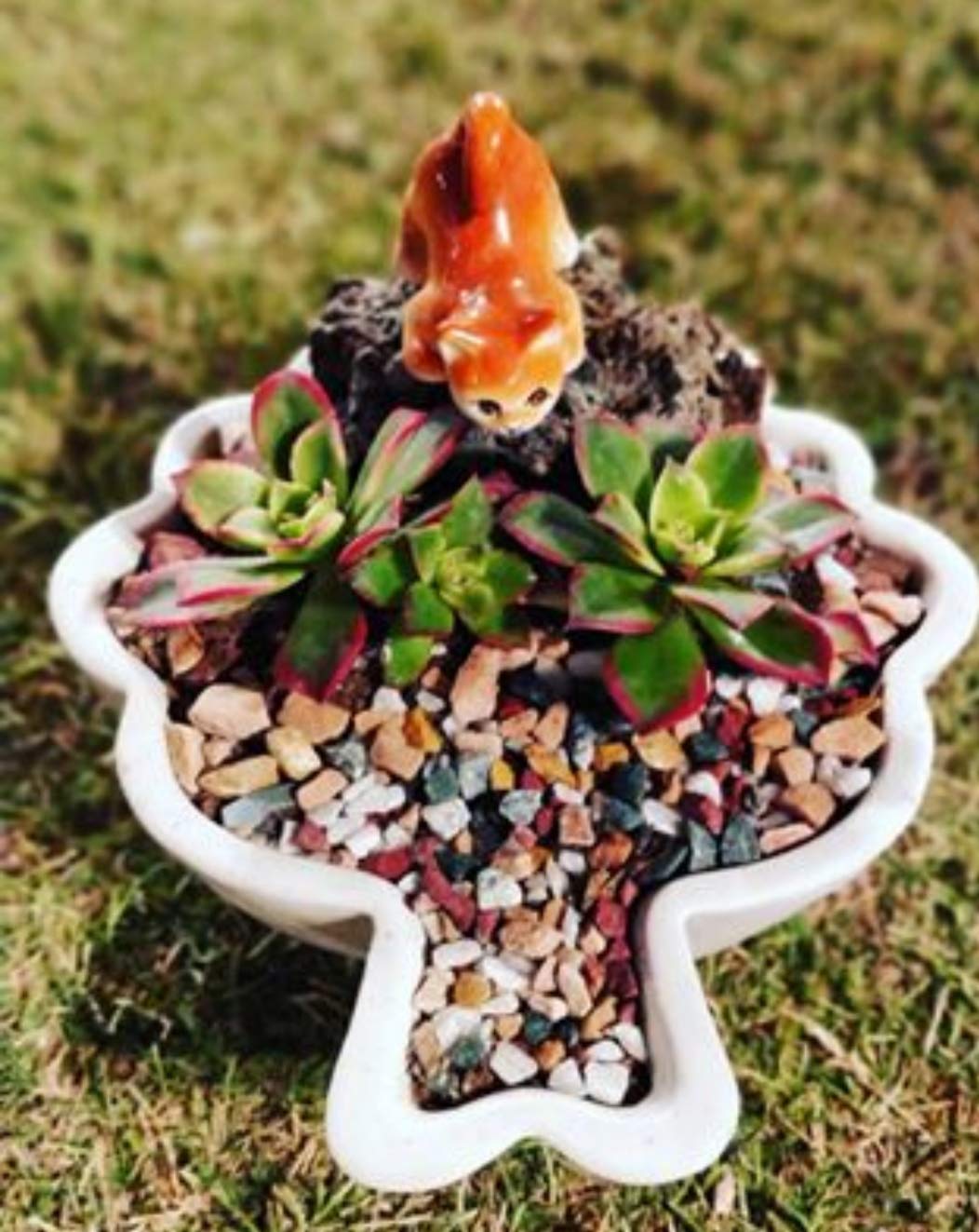 Bloom Bagicha Ceramic Miniature Cat Looking Down Pose for Fairy Garden/Landscaping/Tray Gardening (B07WG4TBHN) Amazon Price History, Amazon Price Tracker