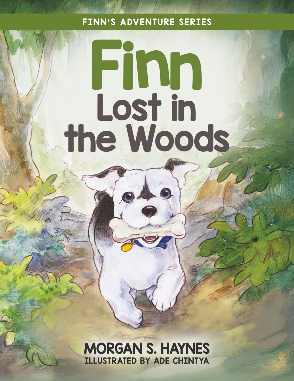 Finn Lost in the Woods