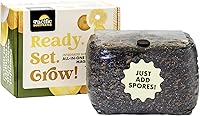 Vista 1 de Kit de cultivo de hongos Grano esterilizado todo en uno fácil de cultivar y sustrato a base de estiércol Cultiva hasta 2 libras de hongos frescos
