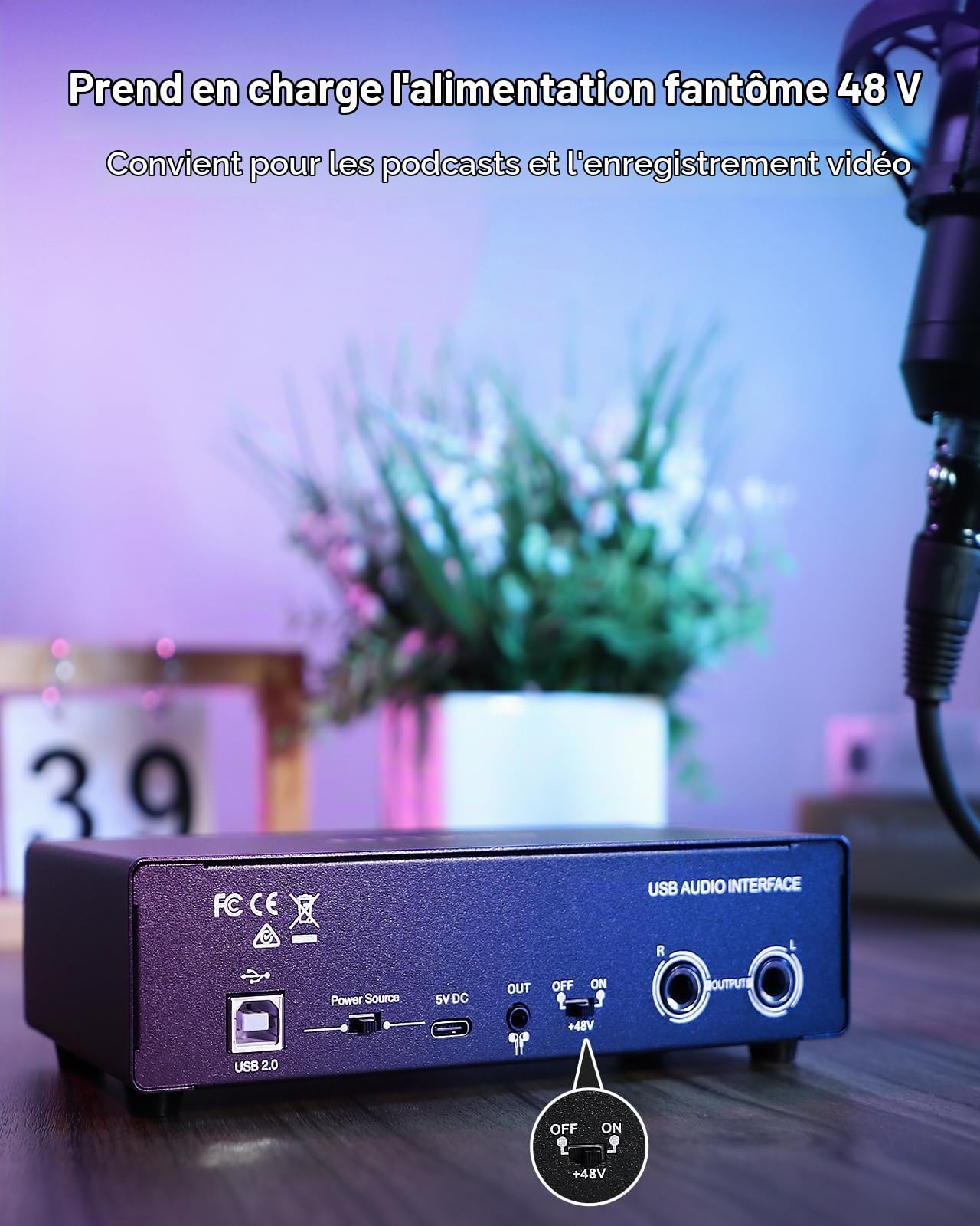 Carte Son Externe,2×2 Interface Audio USB-C pour PC,24 Bits/192 kHz, Doubles Entrées TS/XLR,Alimentation Fantôme +48 V,pour Studio/Podcast/Diffusion en Direct (Noir)