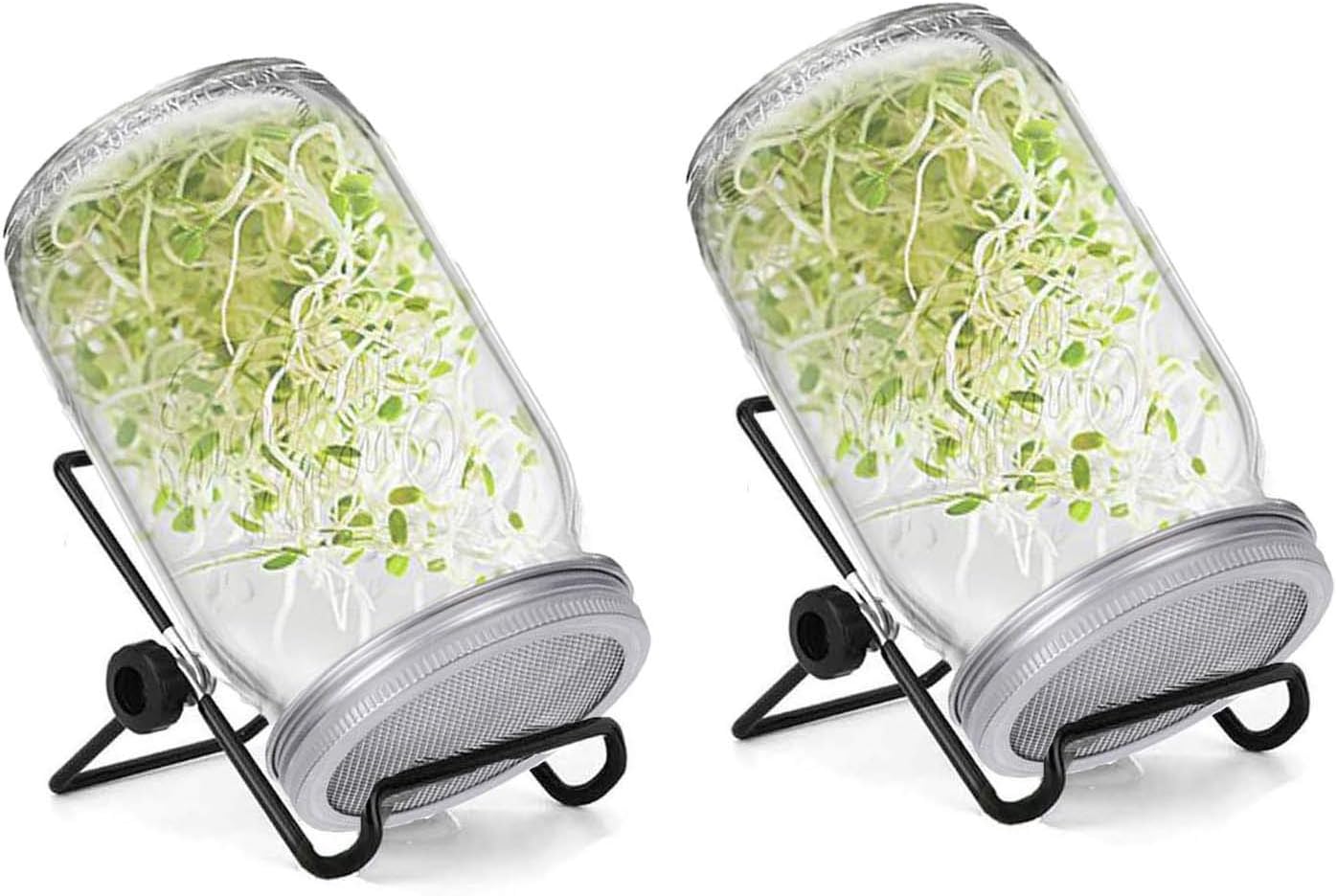 Sprouting Jar Kit 2 Includes Sprouter Mason Jars