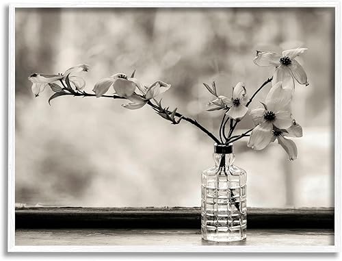 Stupell Industries Fotografía monocromática de flor de orquídea botánica, diseño de Kelly Sinclair, 30 x 24 pulgadas