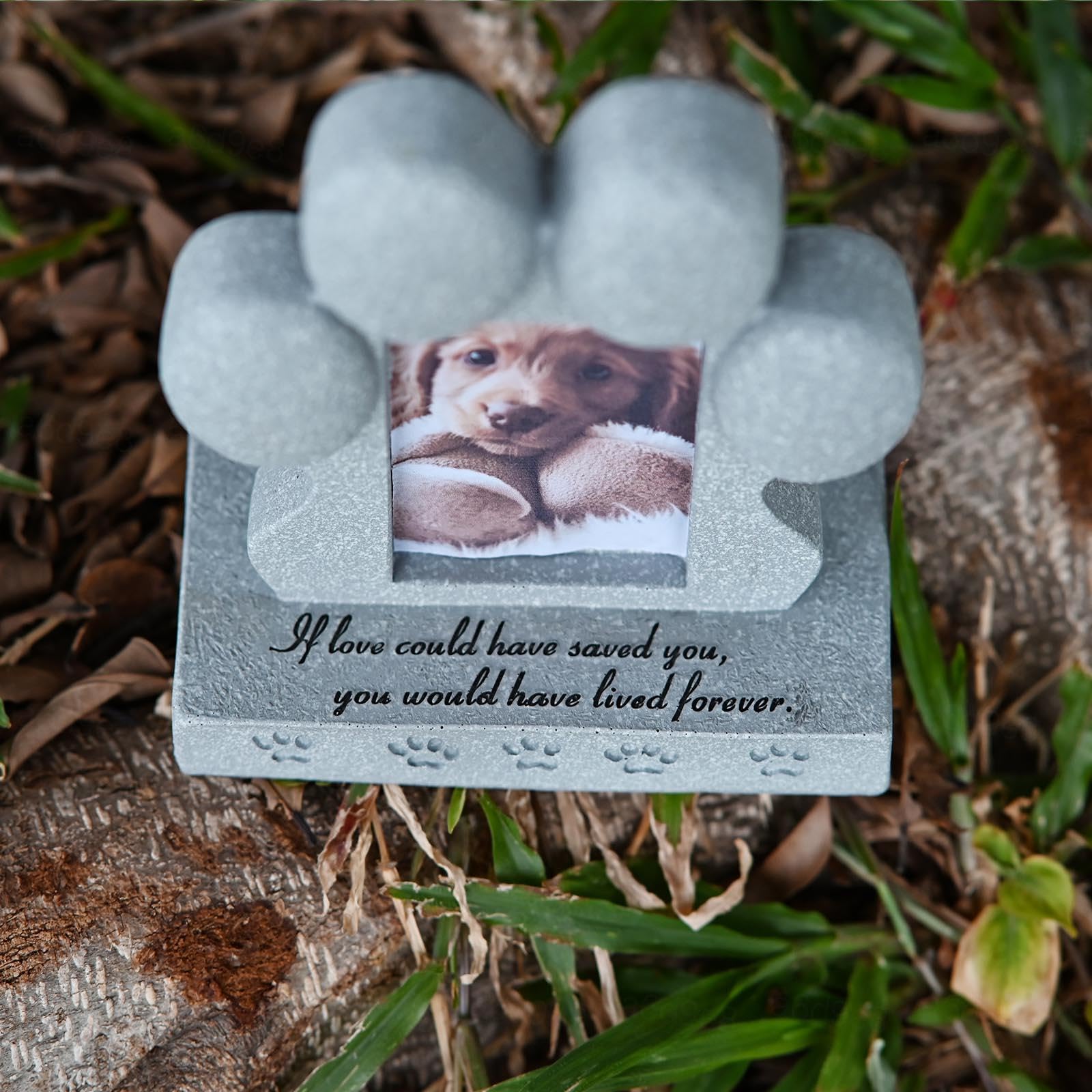 Cornice Commemorativa per Cani e Portachiavi con Peli di Cane, Pietra Commemorativa per Gatti per Ricordare La Scomparsa di Un Cane