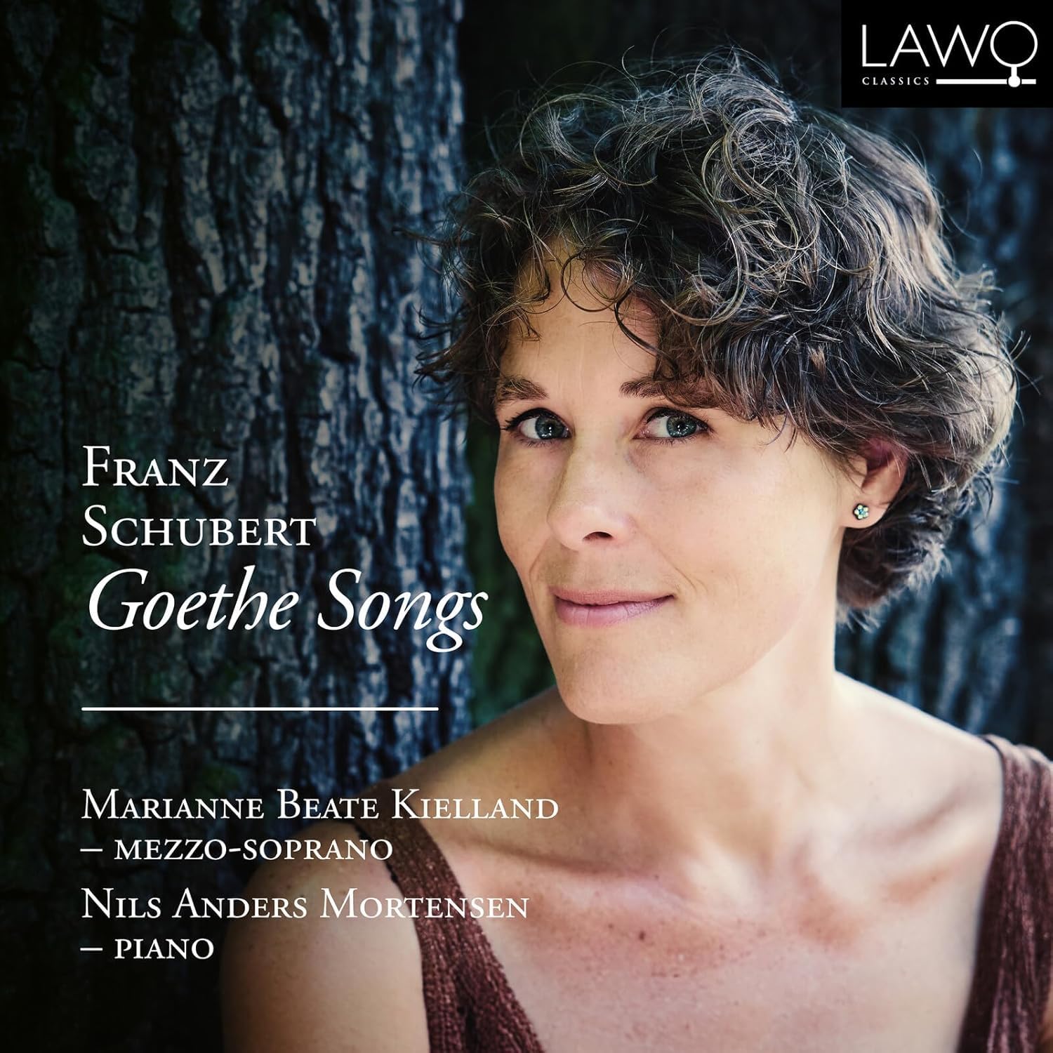 Franz Schubert: Goethe Songs