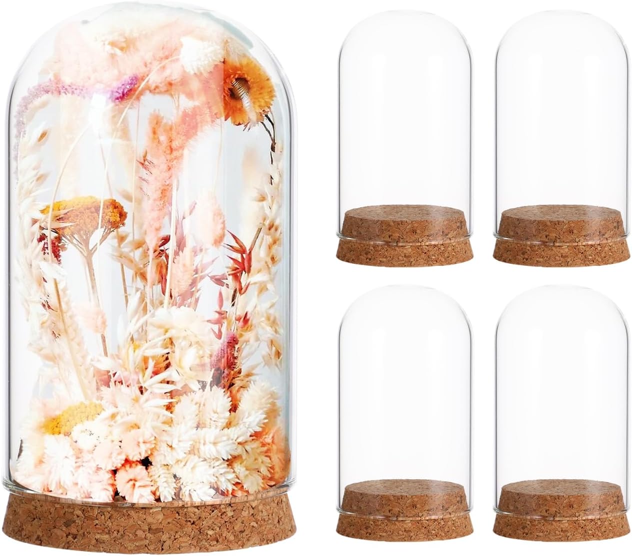 SEWACC 5pcs Cloche Glass Domes with Cork Base - Elegant Display Jars for Weddings, Parties, Home Decor & Crafts