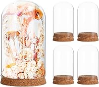 SEWACC 5pcs Cloche Glass Domes with Cork Base - Elegant Display Jars for Weddings, Parties, Home Decor & Crafts