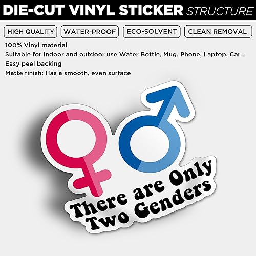 Miniatura 2 de Adhesivo de vinilo troquelado impermeable con texto en inglés "There are Only Two Genders", calcomanía para vaso, laptop, teléfonos, cascos, barcos,