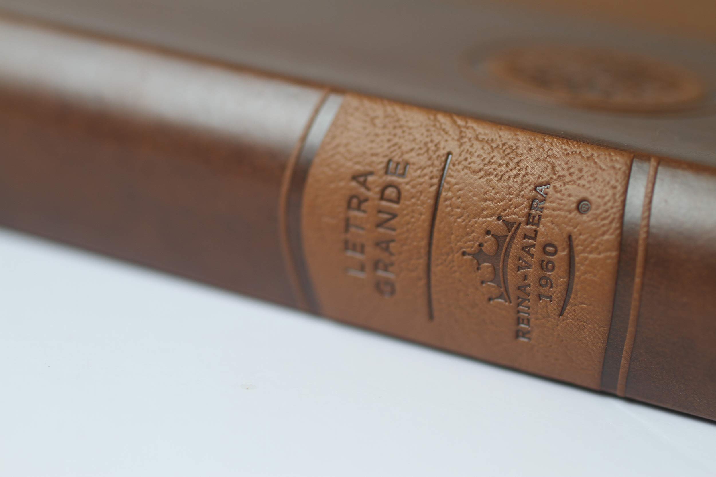 Biblia Reina Valera 1960 Tamaño grande, letra grande piel canela con cremallera / Spanish Holy Bible RVR 1960. Large Size Large Print Brown Leather ... Cremallera, con Imágenes De Tierra Santa