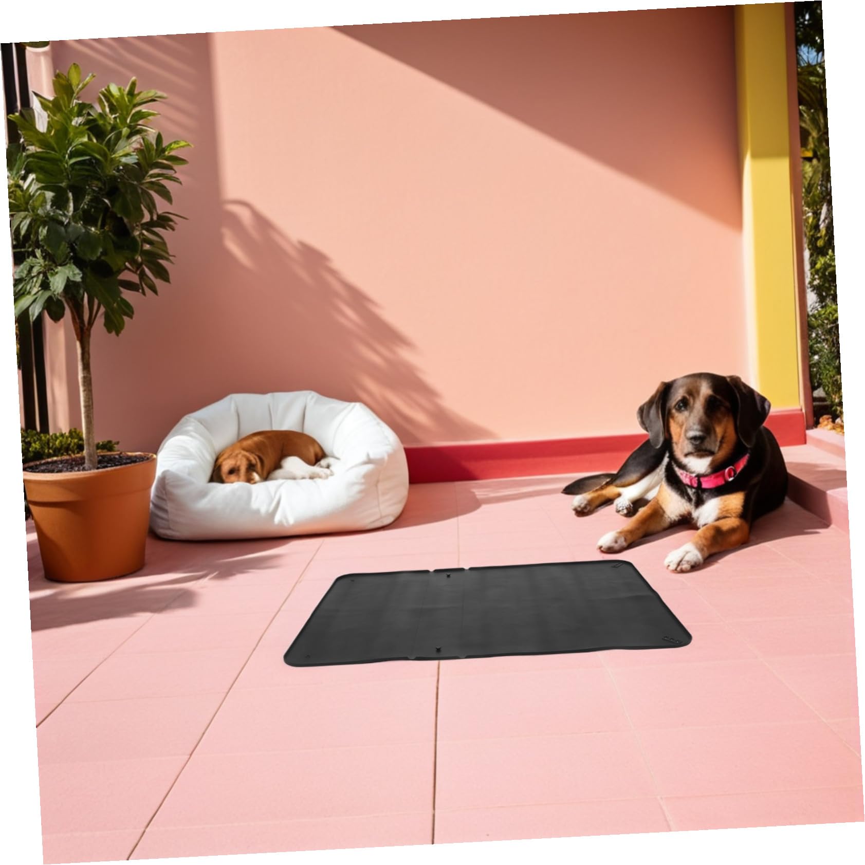 Porta Traversine per Lettiera per Cani 60x90 in Silicone Riutilizzabile con Ventose, Tappetino Igienico Compatto per Addestramento e Viaggi