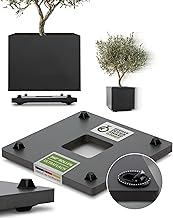 Pflanzwerk Pflanzkübel Untersetzer - Ultraflacher Designer Pflanzenroller - 38 x 38cm - Eckig und rund für alle Blumentöpfe & Blumenkübel - Indoor & Outdoor Gefäßroller - 2 Jahre Garantie