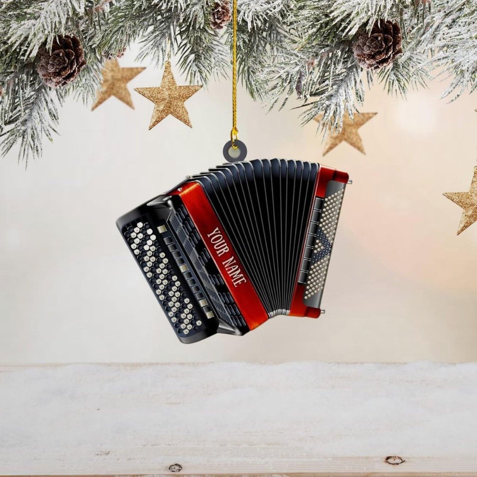 Luckluccy Style-5 Personalized Accordion Christmas Ornament For Tree,Musical Instrument Ornaments,Music Teacher Gifts,Orchestra Christmas Tree Décor