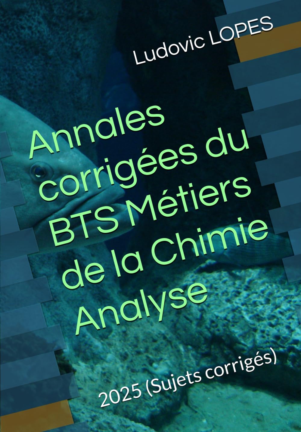 Annales corrigées du BTS Métiers de la Chimie : Analyse: 2025 (Sujets corrigés)