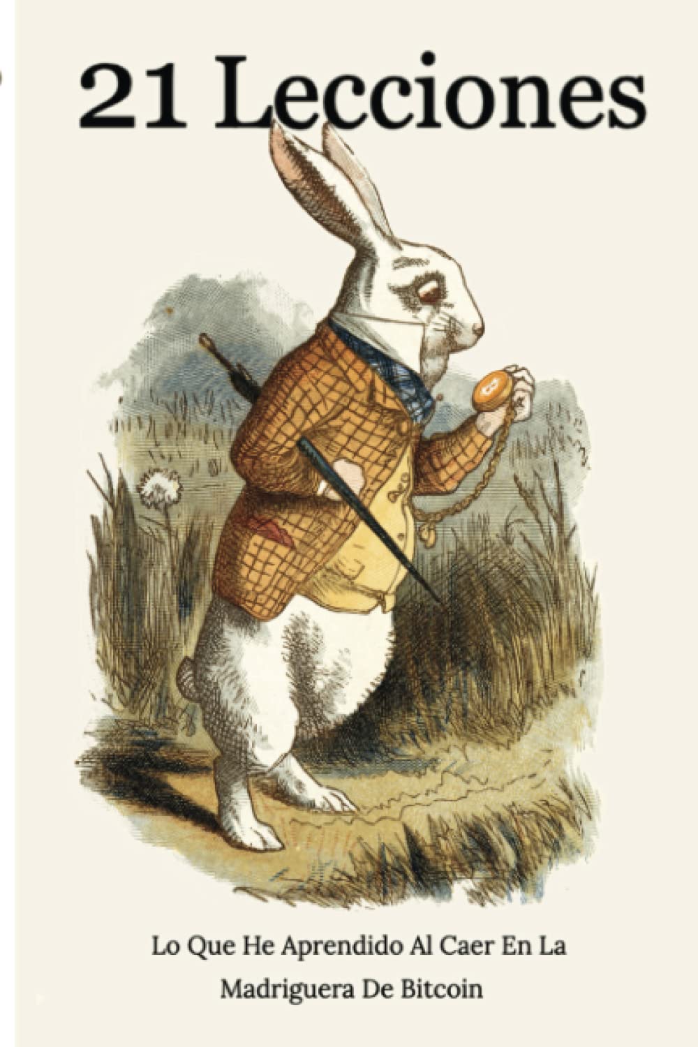 21 Lecciones Lo Que He Aprendido Al Caer En La Madriguera De Bitcoin : .,  Gigi: Amazon.es: Libros