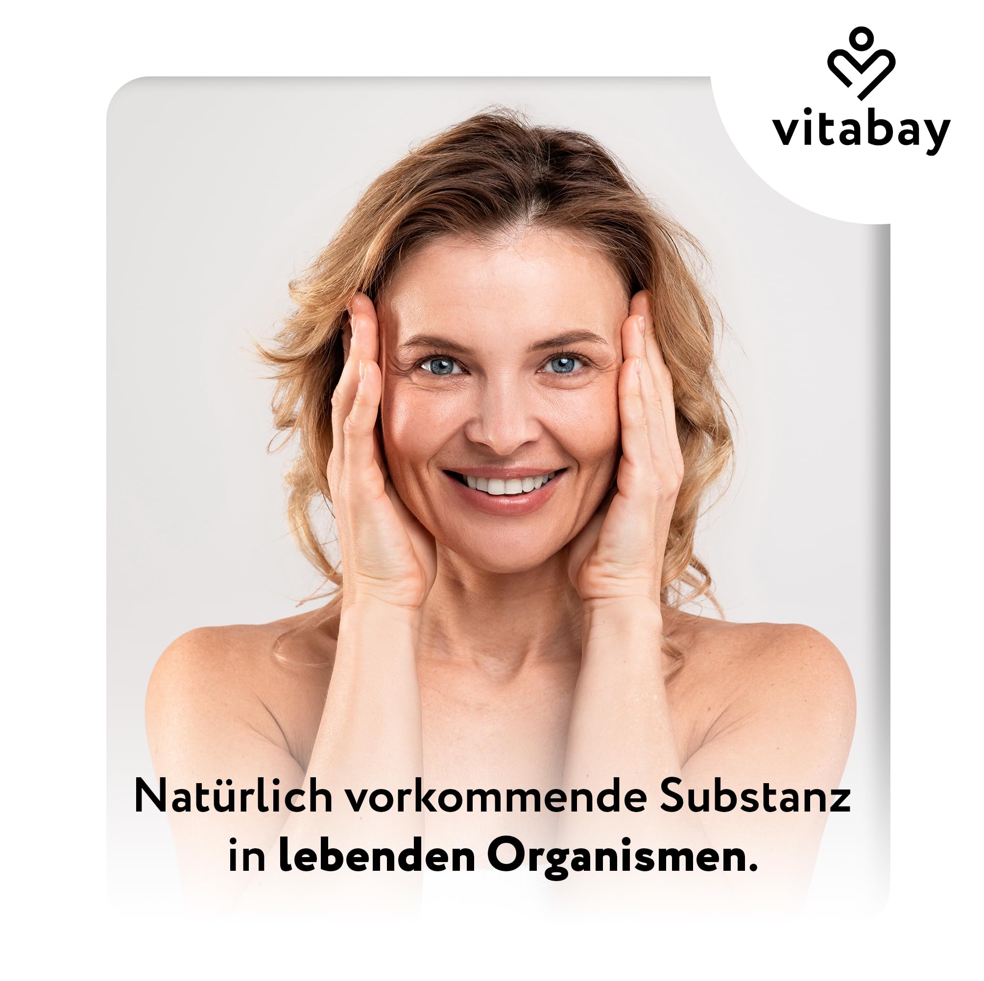 Vitabay Spermidin 6 mg Hochdosiert – 120 vegane Kapseln mit fermentiertem Weizenkeimextrakt – Natürlich hergestellt - Laborgeprüft in Deutschland & ohne Zusatzstoffe – Vorrat für 4 Monate
