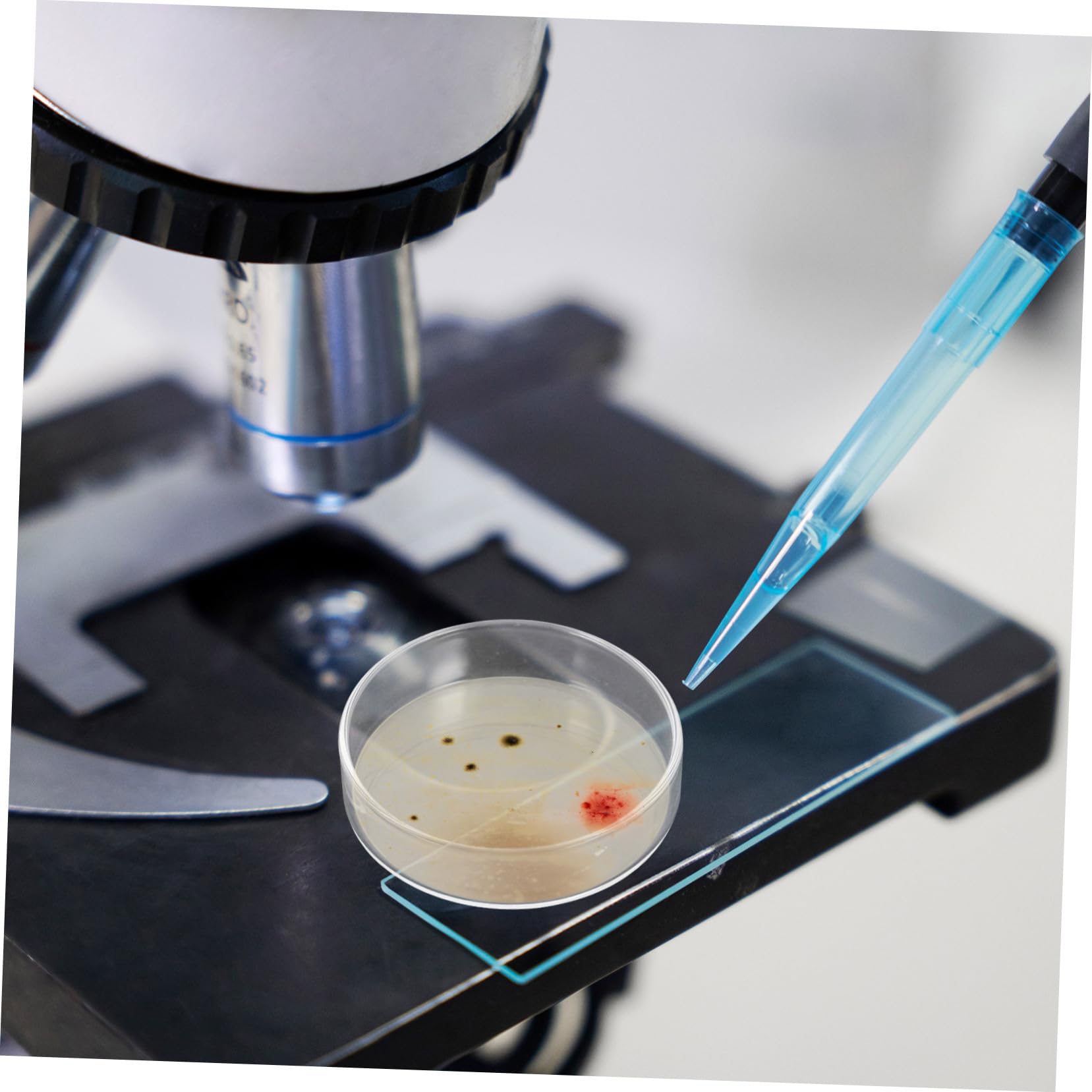 SOLUSTRE Boîtes de Pétri en Verre 90mm Résistant aux Températures 10 Pièces avec Couvercles Ventilation Adaptée pour Expériences en Laboratoire