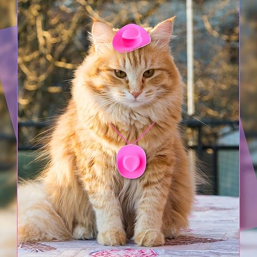 Miniatura 5 de Tudomro 24 collares de sombrero de vaquero de vaquera, recuerdos de fiesta de vaquero, mini sombreros de vaquero, collares con cuentas de sombrero