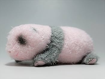 Amazon.co.jp: 上野動物園 赤ちゃんパンダぬいぐるみ
