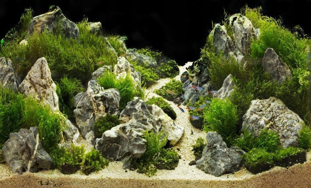 Aquarium Steine 10 kg Aquascaping Deko Scenery