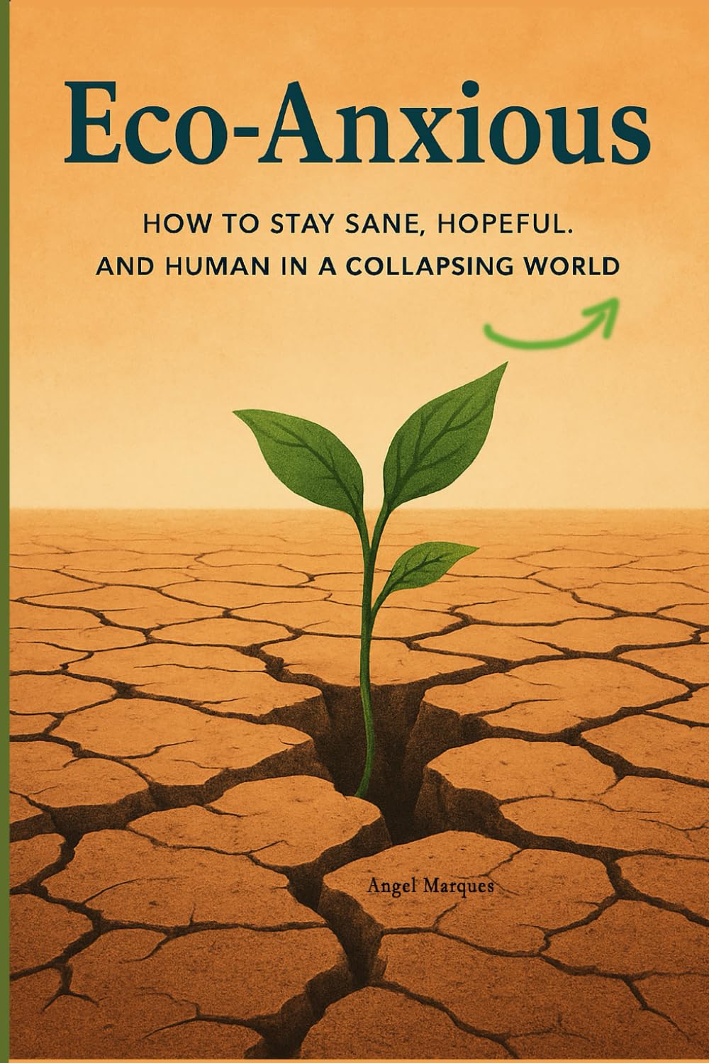 Eco-Anxious: How to Stay Sane, Hopeful, and Human in a Collapsing World (Humanity in the Digital Age)