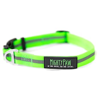 Mighty Paw Waterproof Dog Collar, Smell-Proof Active Dog Gear, Coated Nylon Webbing with Reflective Stripe. (Green, Medium)