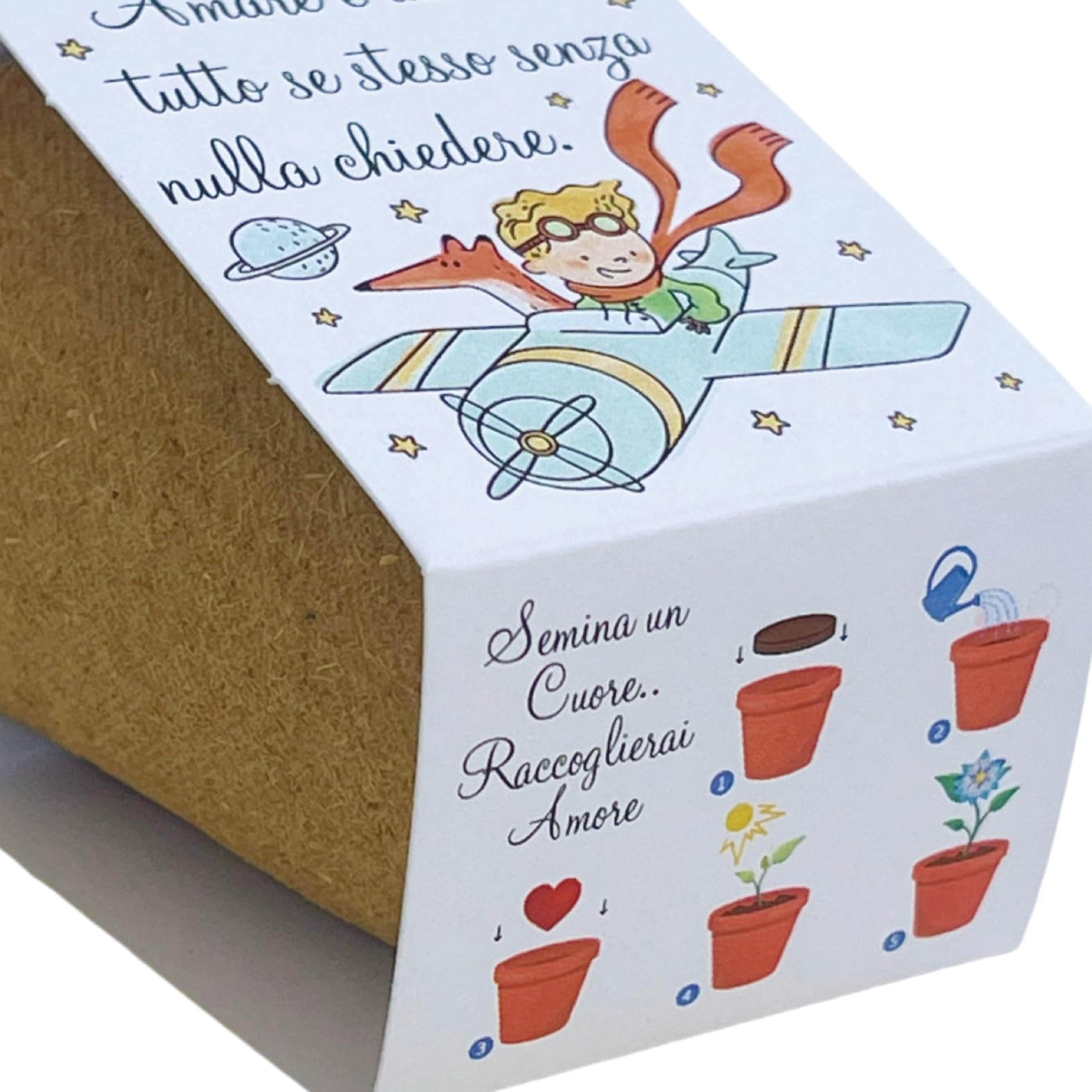 Regalami.shop12 Bomboniere Complete Eco-Sostenibili con Kit Fioritura Il Piccolo Principe - Set da 12 Pezzi per bomboniere Nascita, Battesimo, Comunione