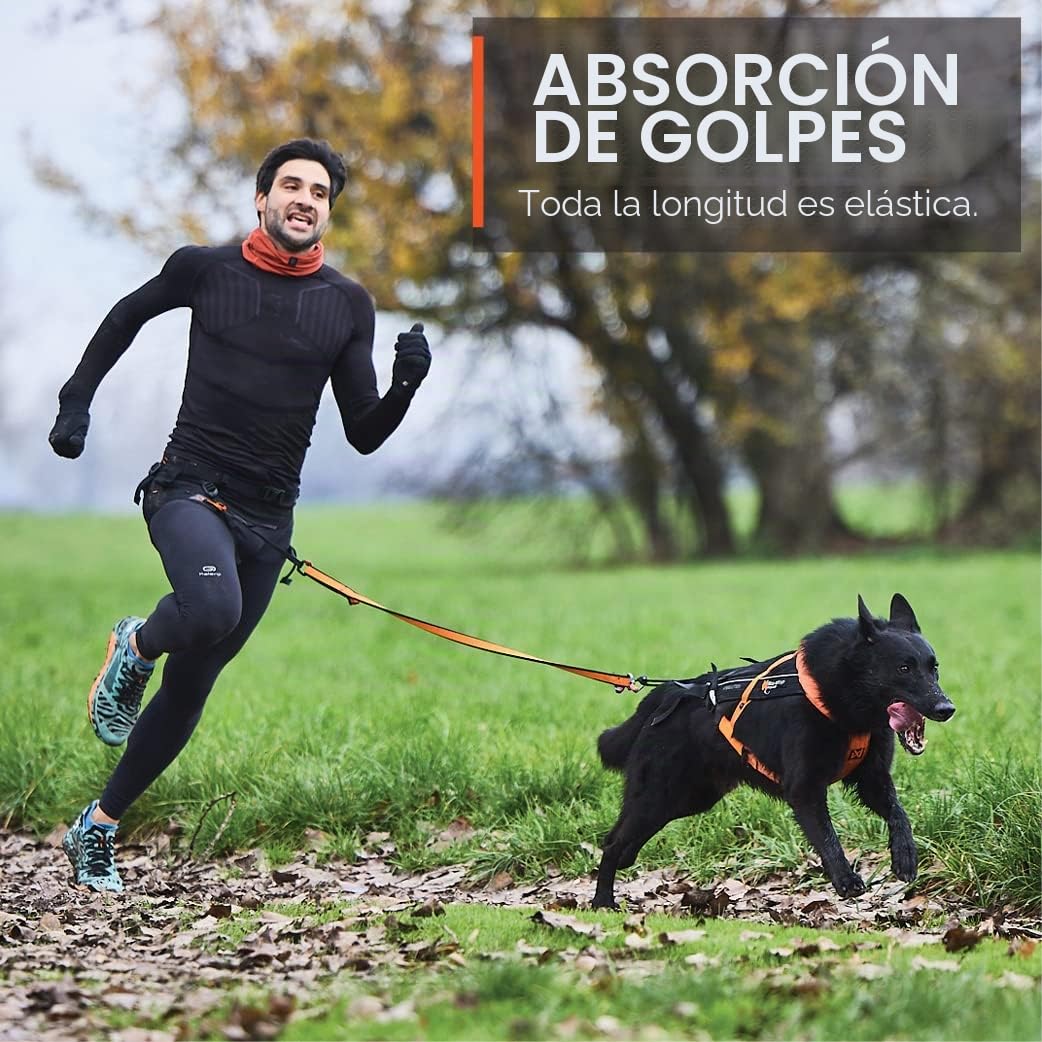 Nonstop Dogwear - Correa elástica 2.8, Negro/Naranja, 2.8 m