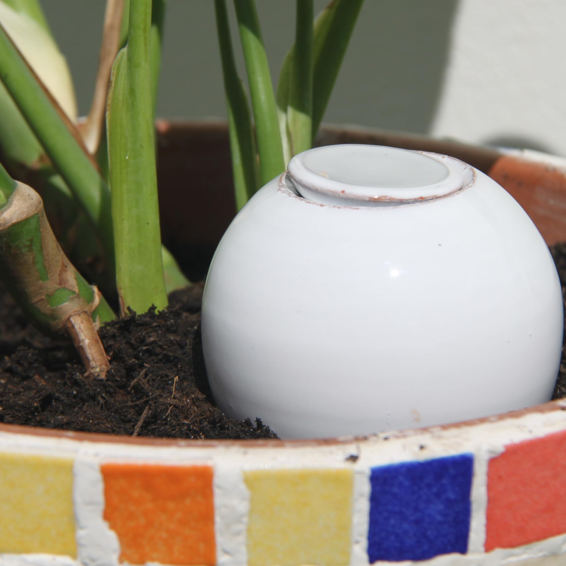 Ollas Lutton Mini Olla Terre Cuite 25cl | Fabrication Française | Arrosage Automatique Écologique | Irrigation Naturelle pour Plantes Intérieures & Extérieures | Autonomie 2 Jours | Olla Blanche