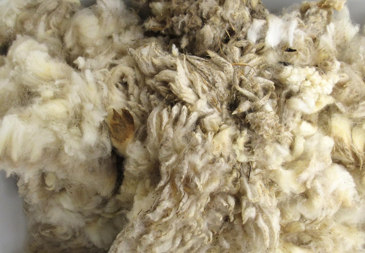 Sheep Wool Trapping Supplies Natural Lure Scent Holder