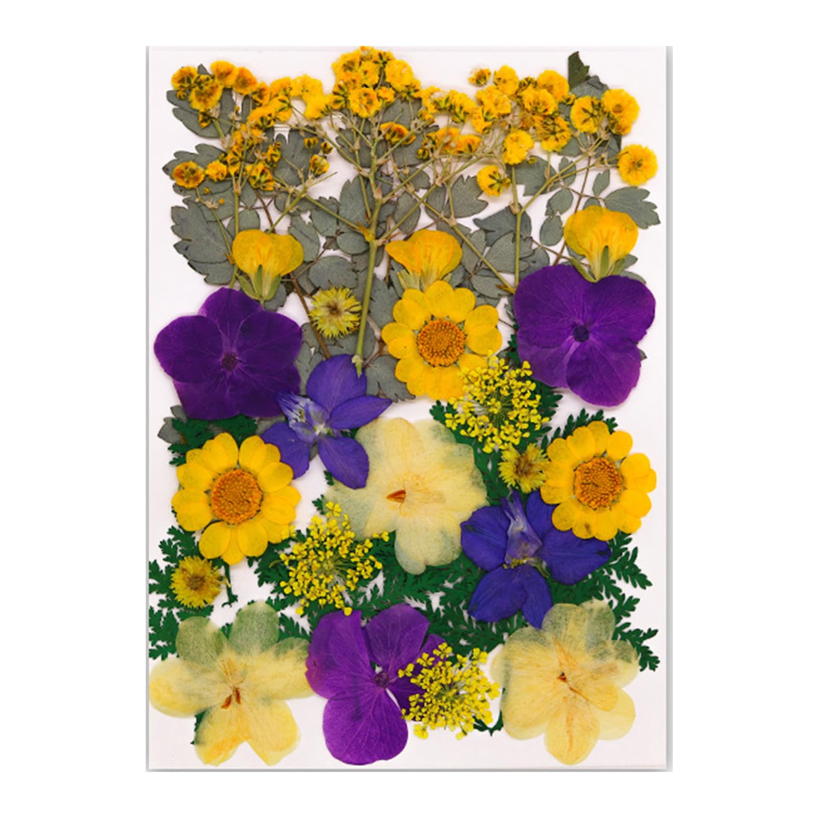 Tsophreniq 30Pcs Pressed Flower Art Craft Embellishment Supplies for Bookmarks Jewelry Making Scrapbooking Natural Flower