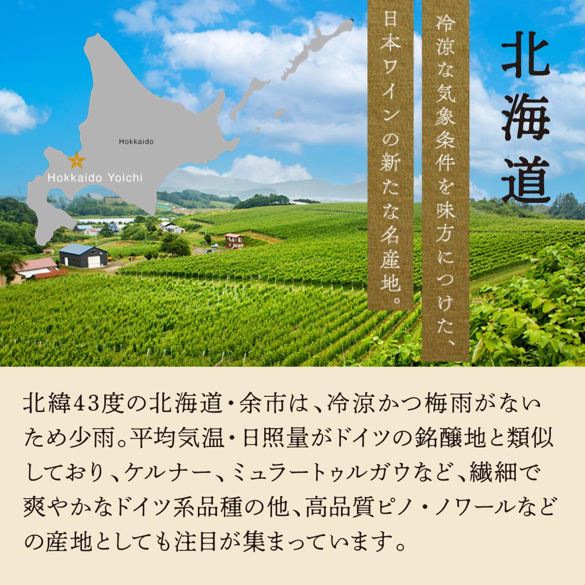 Amazon.co.jp: 【デキャンタ・ワールド・ワイン・アワード