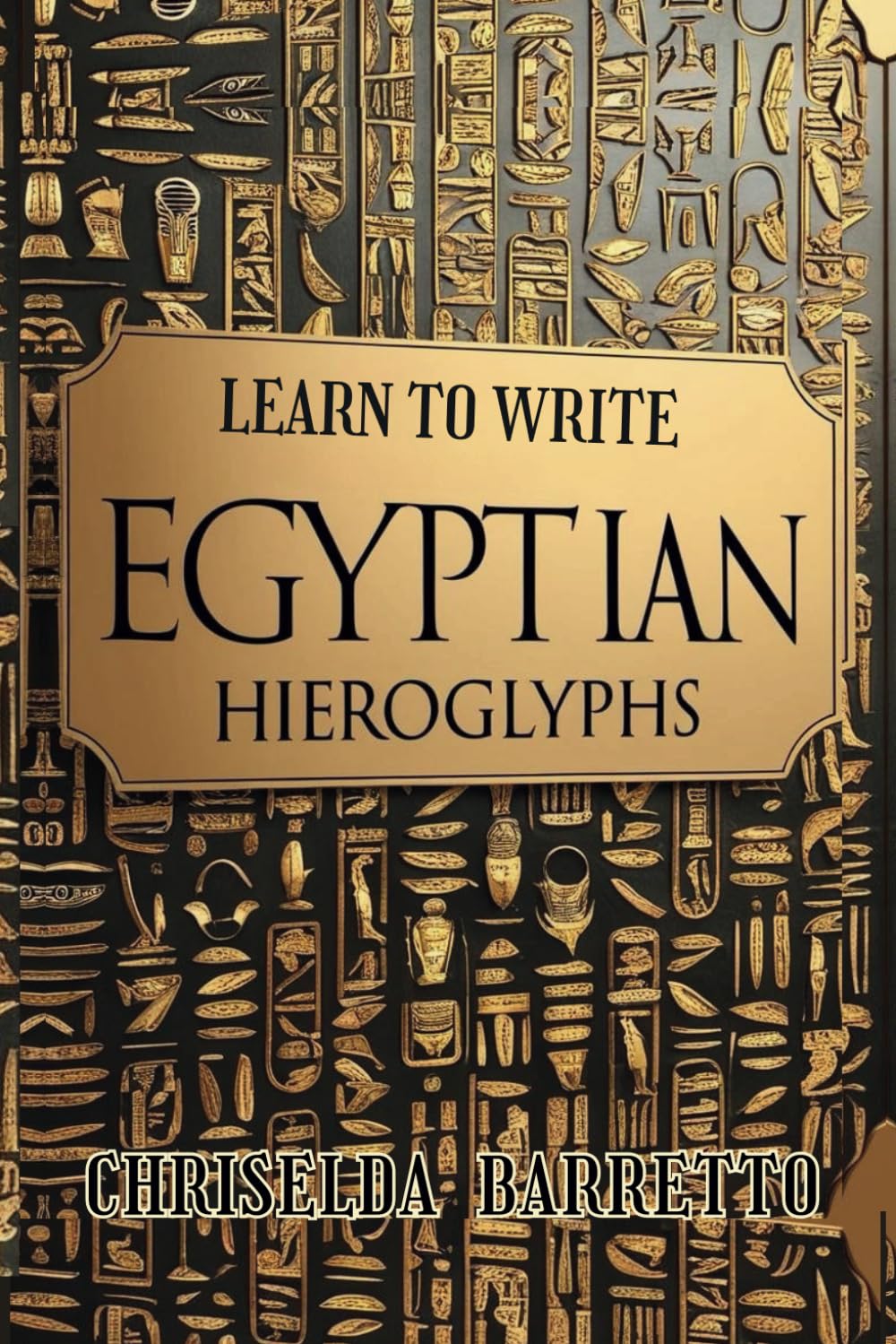 Learn To Write Egyptian Hieroglyphs (Illustrated): Egyptology for Beginners. Educational Workbooks. Foreign Language Learning Workbook. Ancient ... Systems. (LTW Language Learning Series)