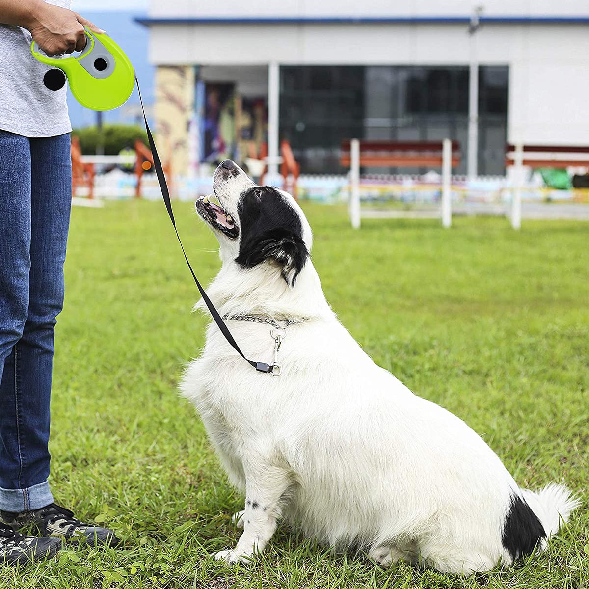 PETCUTE Laisse de Chien rétractable en Laisse pour Petits, Moyens et Grands Chiens dressant, Marchant, Faisant du Jogging,de Promenade extensive de 8 m
