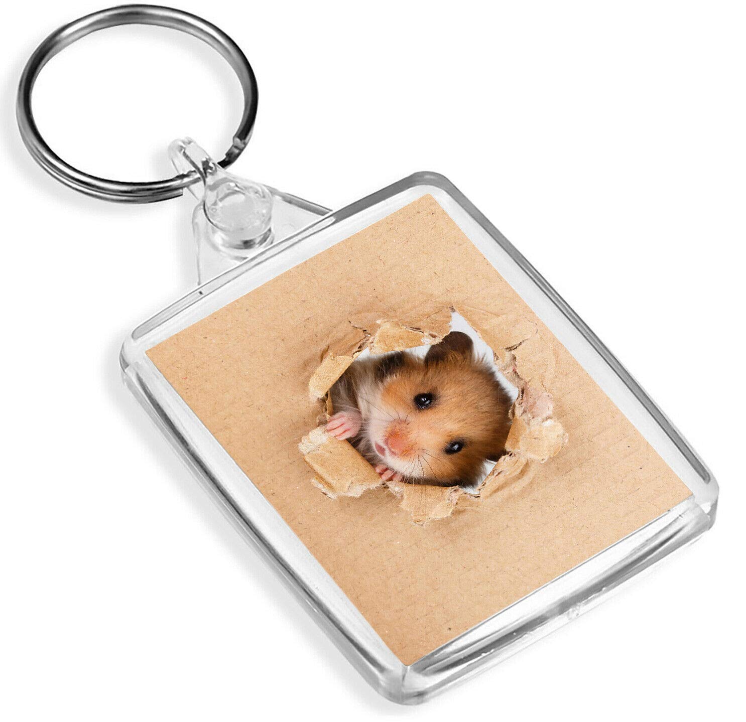 Destination Vinyl Keyrings Unisex Kids Multi Cheeky Hamster Keyring - Ip02 - Rodent Kids Rat Gerbil Mice 8521