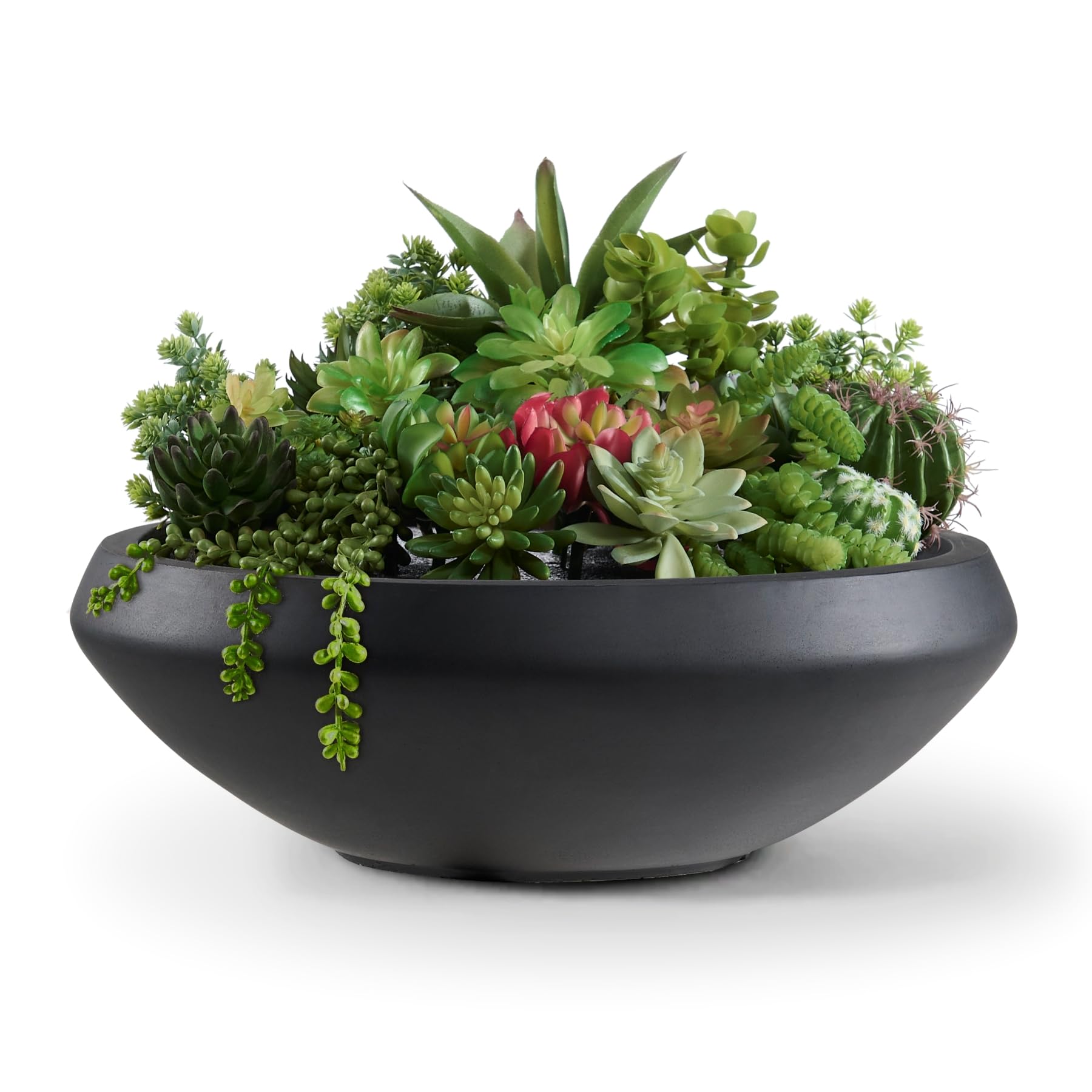 FloraFairy Concrete Bowl Planter