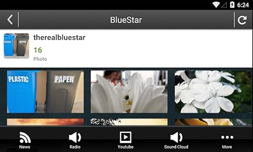 Blue Star